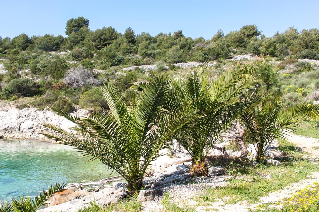 Vila Tatinja Trogir Eksteriør bilde
